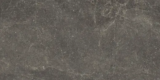 Alistone black 60×120