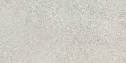 Arona grey 60×120