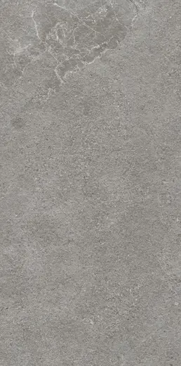Authority Grey 2 cm 60×120