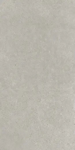 Bergdust Grey 60×120