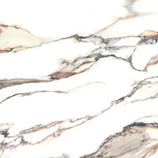 Calacatta Gold 120×120