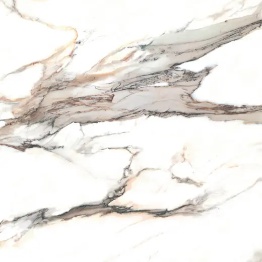 Calacatta Gold 120×120