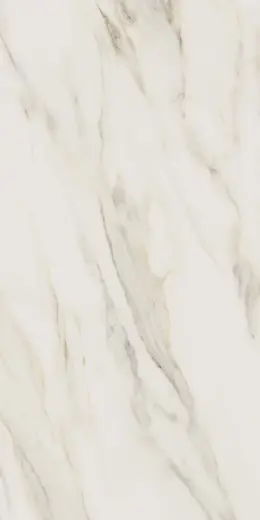 Calacatta Sparkle Gold 60×120