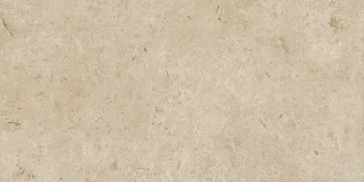 Caracter greige M979 60×120