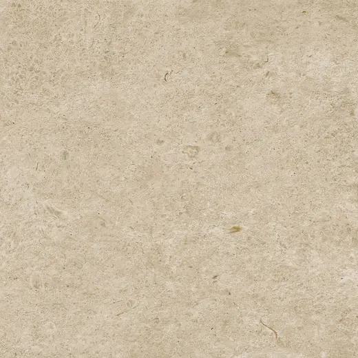 Caracter greige M984 60×60