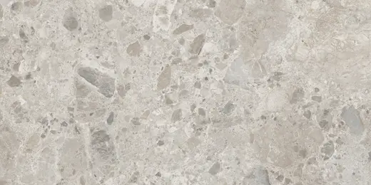 Caracter mix gris M97D 60×120
