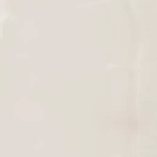 Elegantstone Bianco 60×60