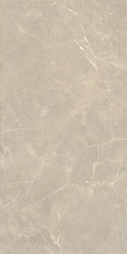 Eloria Taupe 60×120
