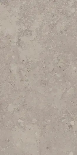 Freedust Taupe 60×120