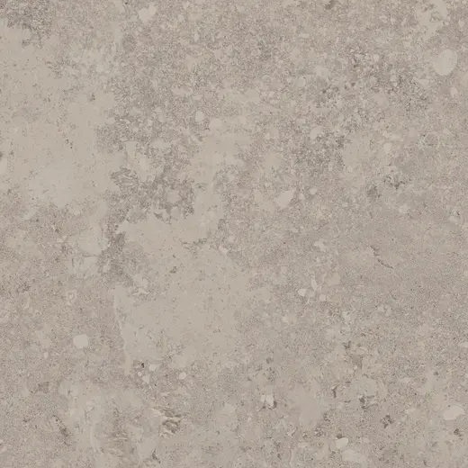 Freedust Taupe 60×60