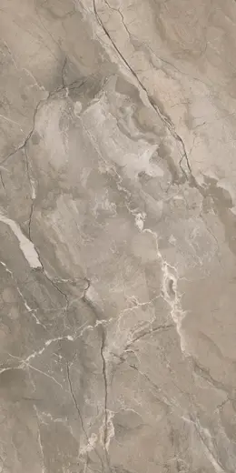 Generous Taupe 60×120