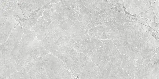 Gobi grey STR 60×120