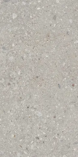 Grande stone look ceppo di grey M10W 120×240