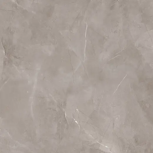 Harmonic grey 60×60