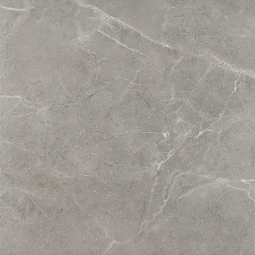 Ibis Grys 60×60