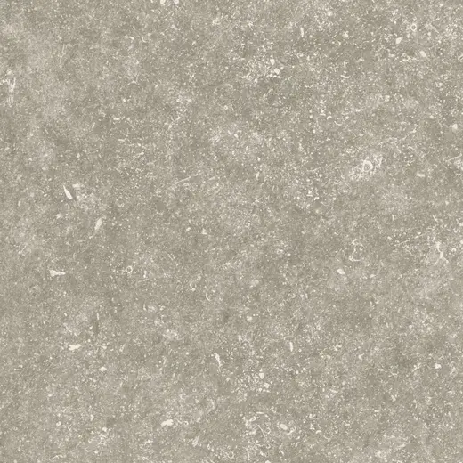 Medicio grey 60×60
