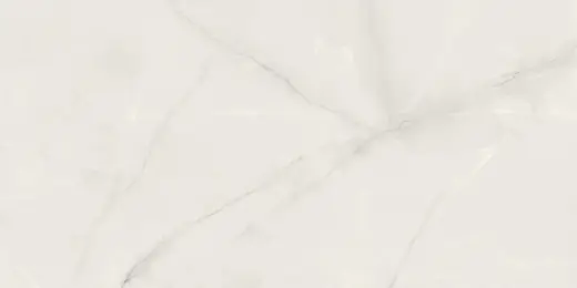 Onix Pearl 60×120