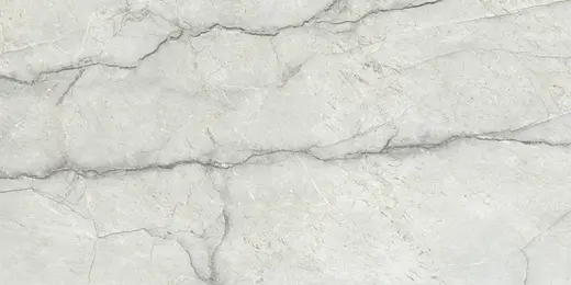 Piove light grey polished 60×120