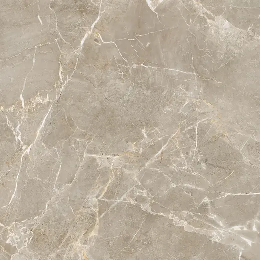 Proud Champagne Beige 120×120
