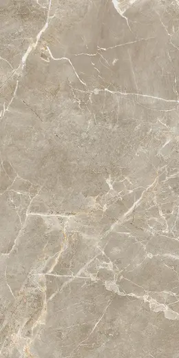 Proud Champagne Beige 60×120