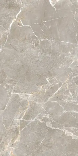 Proud Champagne Crema 60×120