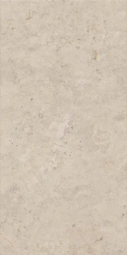 Relis Beige 60×120