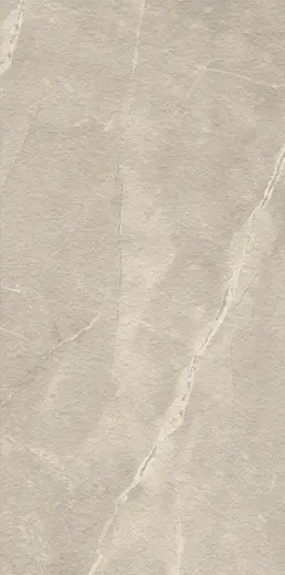Ritual Taupe 2 cm 60×120