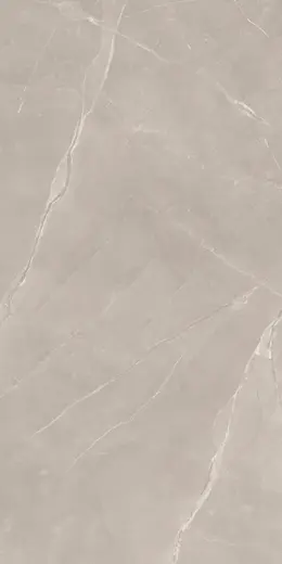 Ritual Taupe 60×120