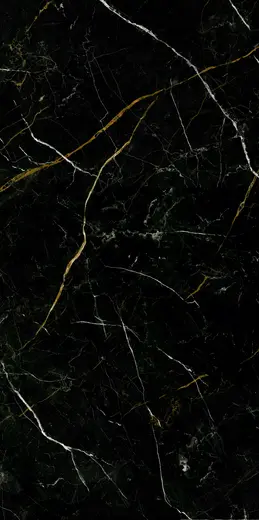 Royal black polished 60×120