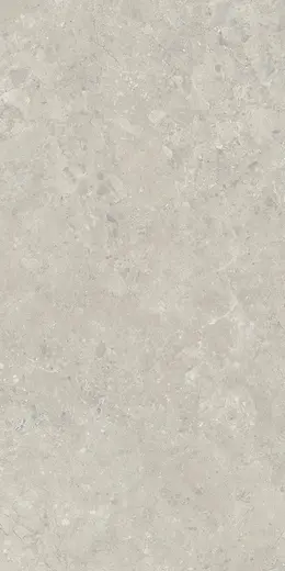 Sedina Grey 60×120
