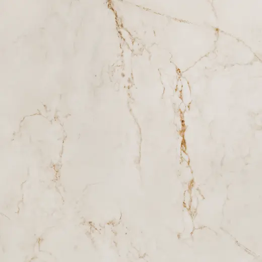 Senja 60×60