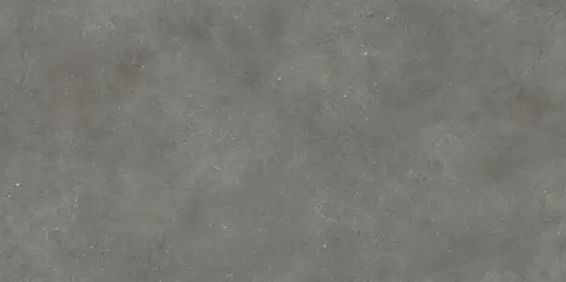 Smooth Rockstone grey 60×120