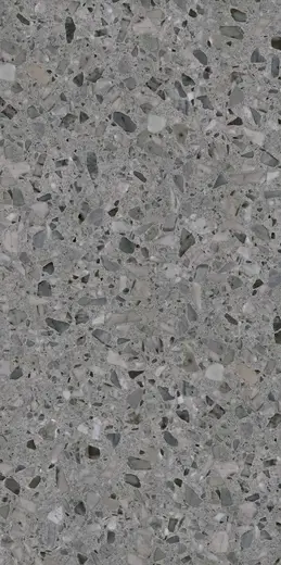 Terazzo Graphite 60×120