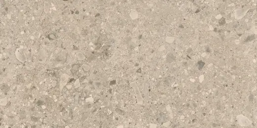 Terrazzo Stone mocca 60×120