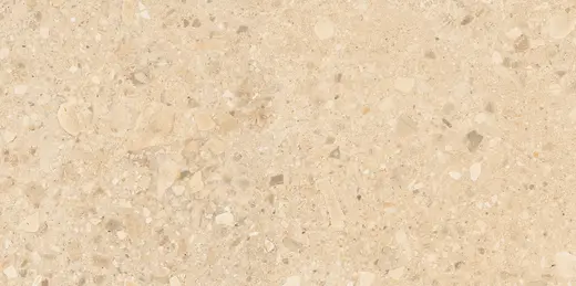 Terrazzo Stone warm beige 60×120