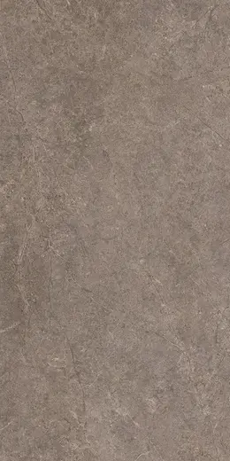 Urban Champagne Naturale 60×120