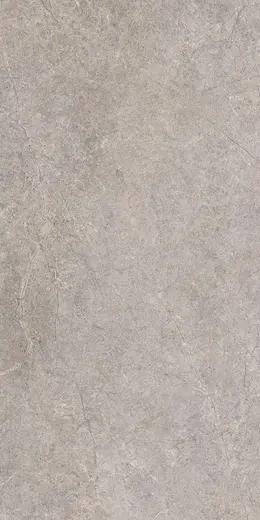 Urban Champagne Taupe 60×120
