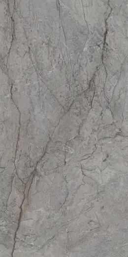 Visioner Grey 60×120